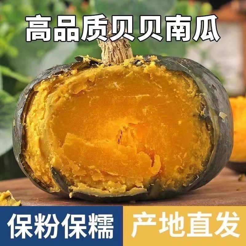 正宗贝贝南瓜板栗味小南瓜新鲜现摘3/5斤孕妇宝宝辅食正品老南瓜