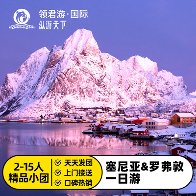 挪威特罗姆瑟极光一日游