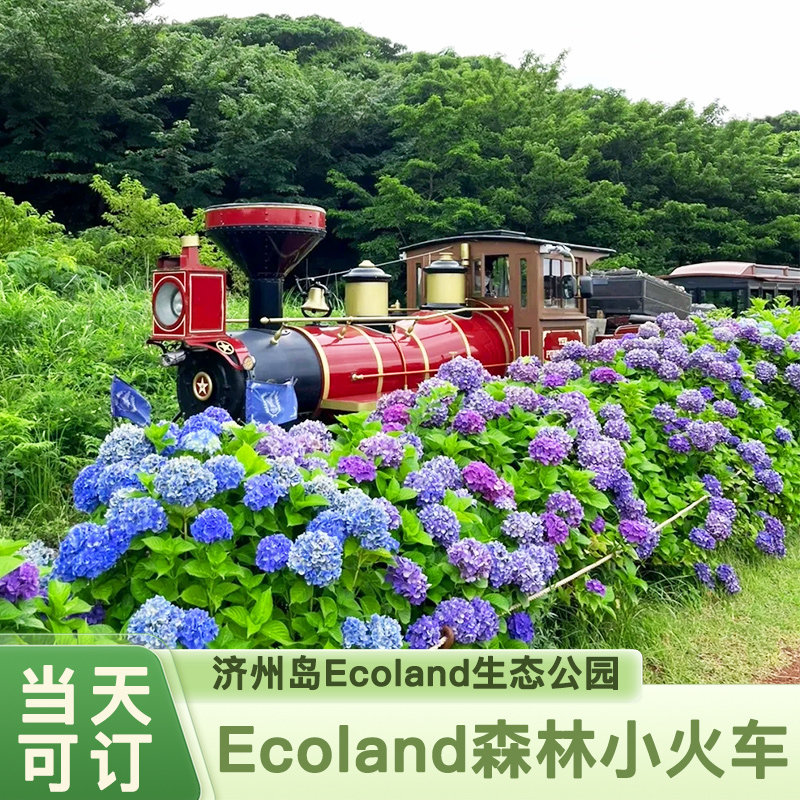 [Ecoland森林主题公园-大门票]韩国旅游济州岛Ecoland森林小火车主题公园大门票Gotjawal