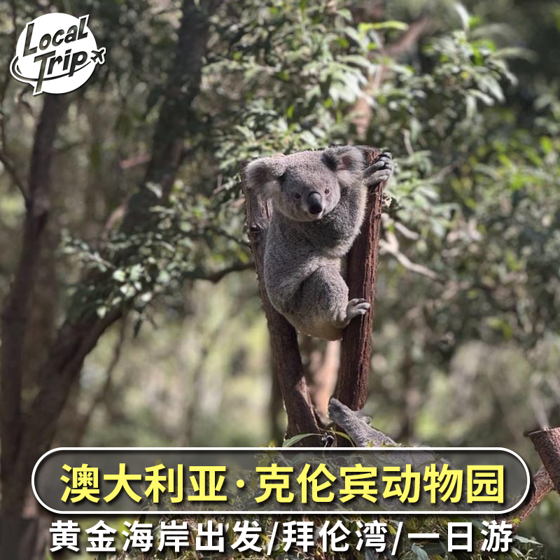 澳大利亚 黄金海岸出发 可伦宾动物园拜伦湾危险角一日游中文司导