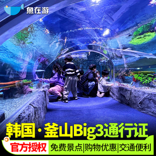 [釜山通行证-Big3通行证（数量限制型）]韩国釜山pass电子通行证Big3周游券免费景点松岛busan pass电子票