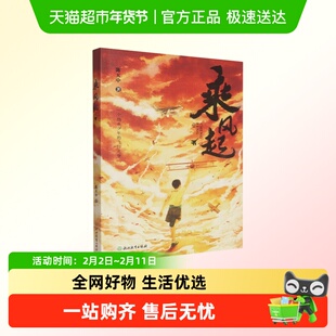 正版 乘风起 全景展现抗战时期中国飞行员抵抗侵略的悲壮画卷