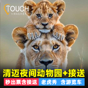 [清迈夜间动物园-大门票+接送]亲子特惠泰国清迈夜间动物园Night Safari门票多场次可选观光缆车