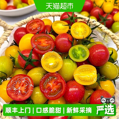 瓜憨憨小番茄圣女果