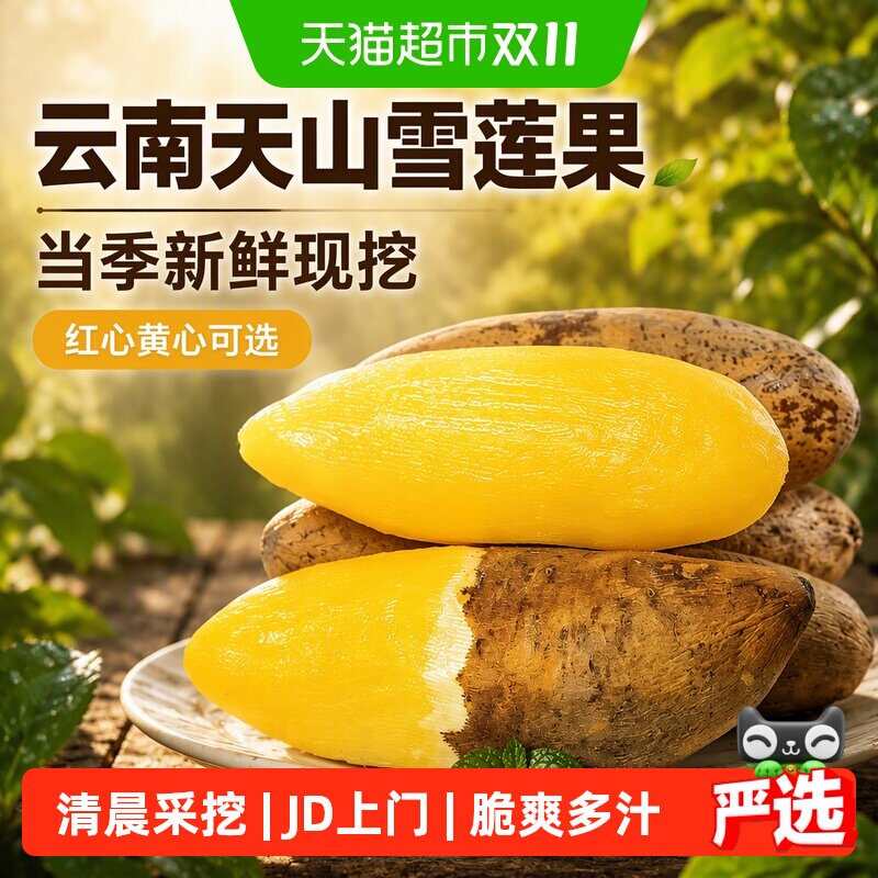 云南天山雪莲果应当季新鲜水果整箱大果红心雪莲果黄心