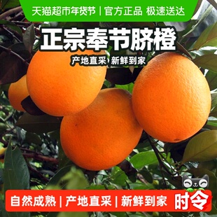 柠满园正宗重庆奉节脐橙纽荷尔当季鲜橙子新鲜水果广柑子产地直采