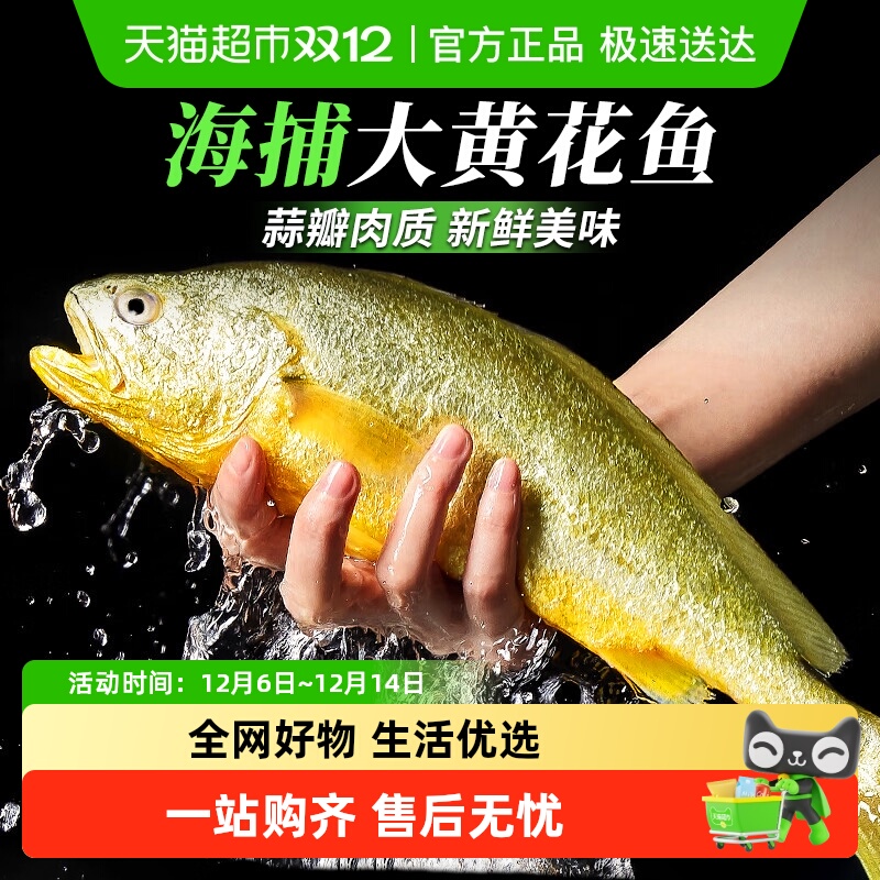 云储生活特大黄花鱼深海大黄鱼