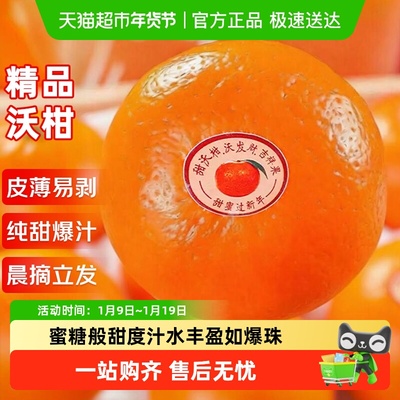 京运达新鲜纯甜沃柑8.5斤装