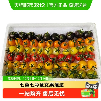 胡鲜森七色七彩圣女果混装
