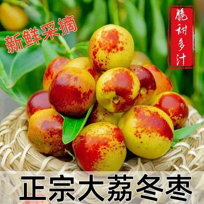 陕西大荔冬枣新鲜大果应季整箱枣子青枣脆枣冰糖大枣5斤当季水果