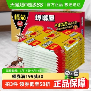 杀虫剂 榄菊蟑螂屋20枚非蟑螂药全窝端家用非无毒杀蟑螂一窝端正品