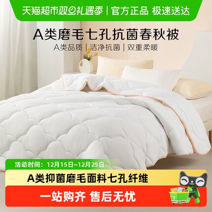 水星出品百丽丝家纺A类抗菌冬被加厚冬被单双人春秋被芯被子床品