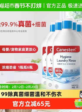拜耳凯妮汀Canesten衣物除菌液海洋味1L*6瓶宠物家居除真菌细菌