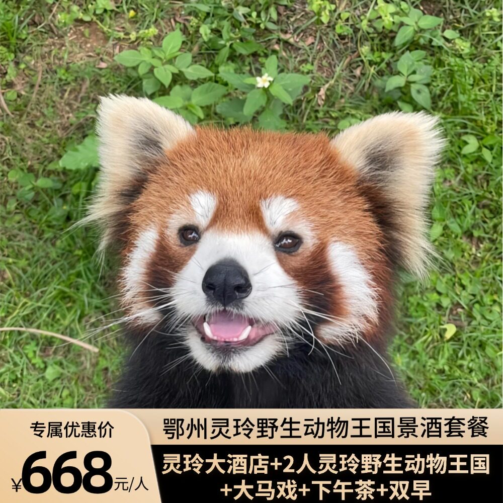 【鄂州灵玲野生动物王国】景区官方酒店+2人灵玲野生动物王国+大马戏+下午茶+双早