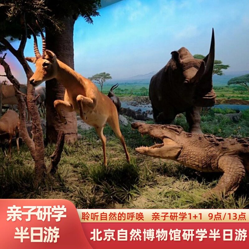 秀才说 北京自然博物馆 亲子半日游 探索自然体验+无线耳麦