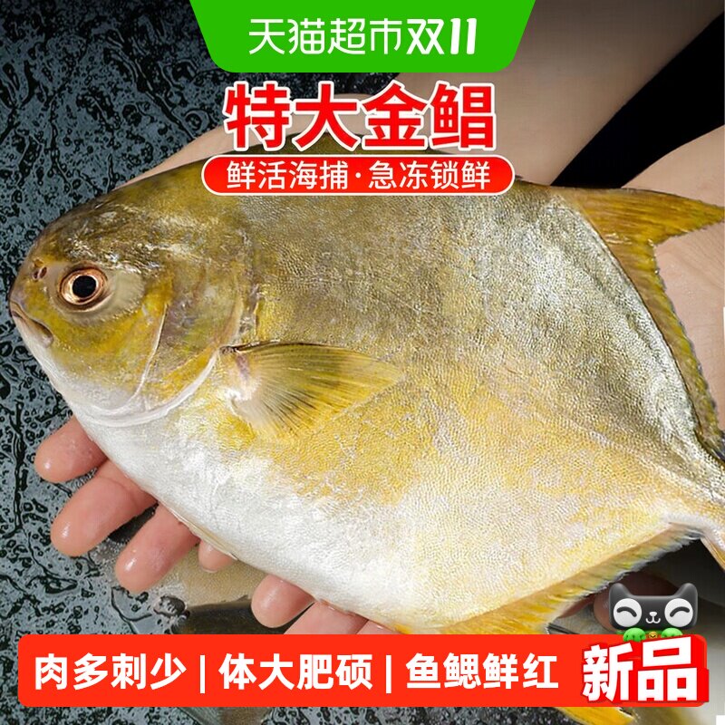 特大金鲳鱼新鲜鲜活冷冻金昌鱼海鱼平鱼鲳鳊鱼海鲜海昌鱼深海商用