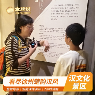 金牌说●徐州汉文化景区2H金牌导游讲解精品小团大咖趣味研学包团