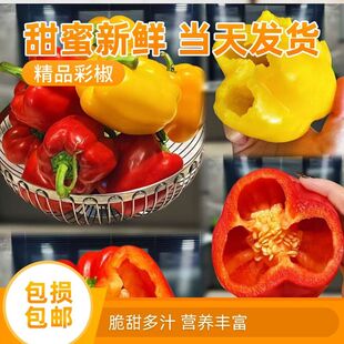 顺丰包邮山东五彩椒水果灯笼红辣椒新鲜小米椒甜朝天圆椒蔬菜青椒