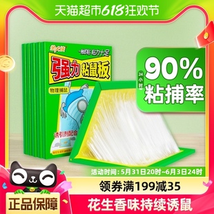 金大侠强力粘鼠板鼠贴粘大老鼠捕鼠贴灭鼠克星5张装 加大加厚防跑