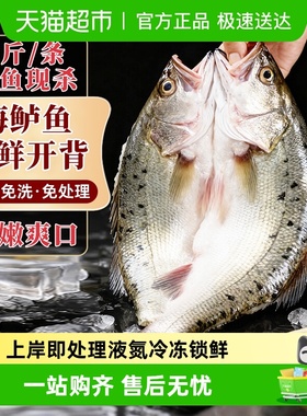 海仙部落海鲈鱼开背新鲜冷冻免处理去鳞去腮去内脏烤鱼半成品