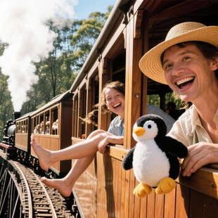 新西兰米尔福德峡湾游船君王号避风港号水手号Milford Sound