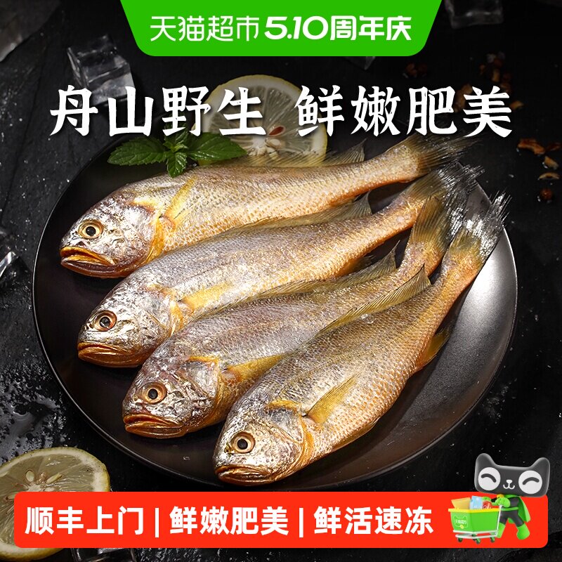 顺丰上门遇上鲜舟山小黄鱼深海捕捞海鱼小黄花鱼生鲜海鲜水产新鲜