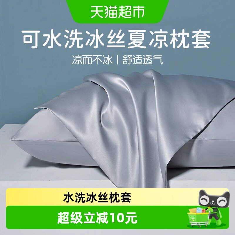 轻奢夏季水洗冰丝枕套一对装家用夏天枕头套单双人枕芯内胆套凉感