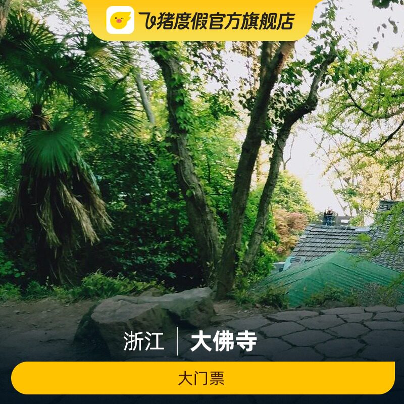 [新昌大佛寺-大门票]新昌大佛寺