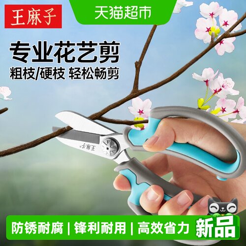 王麻子园林剪修剪花枝家用剪刀