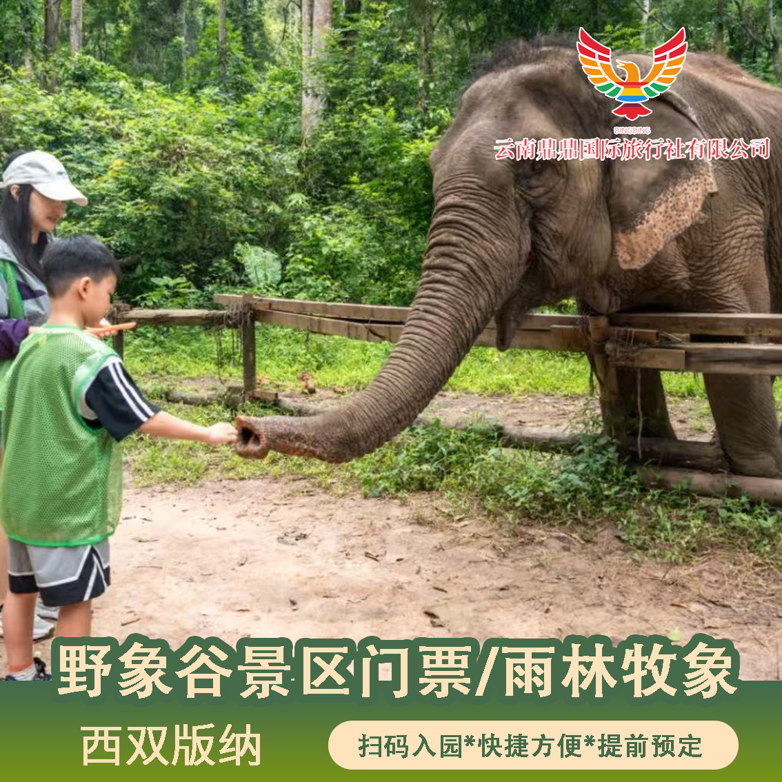 【门票代订】云南西双版纳野象谷门票/野象谷雨林牧象（母子象）预定