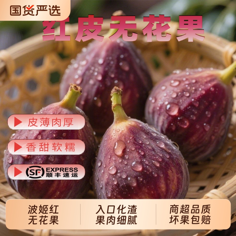 红皮无花果四川特产现摘现发顺丰