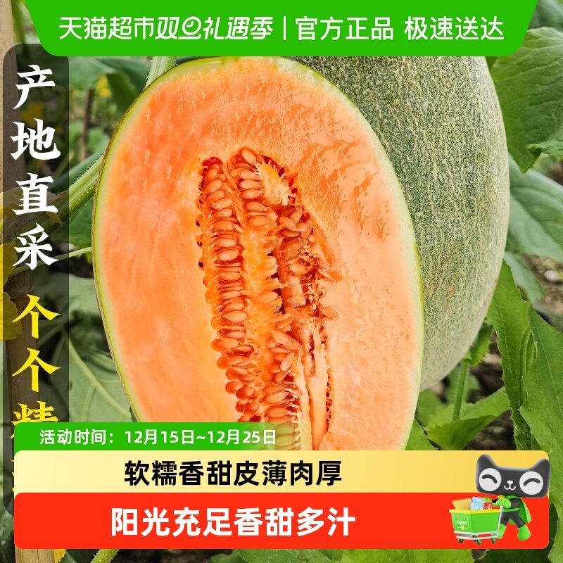 新鲜水果正宗哈密瓜当季甜孕妇现摘网纹瓜老汉瓜西州蜜整箱