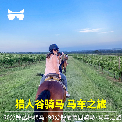 懒猫旅行 澳大利亚旅游悉尼猎人谷骑马 酒庄骑马 马车之旅