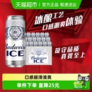 整箱批发囤货 18听口感清爽罐装 百威冰啤酒8.0°P经典 拉格500ml