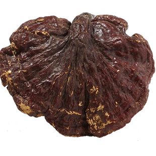 西藏灵芝 林芝野生赤灵芝 整枝白心灵芝整朵白肉灵芝片250g