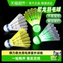 得力夜光羽毛球耐打抗压防裂室外训练尼龙球