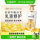 潘婷护发素女乳液修护干枯改善染烫毛躁水润滋养润发柔顺顺滑发膜