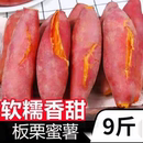 产地直发正宗沙地黄心板栗红薯蜜薯甜糯糖心番薯地瓜整箱批发优选