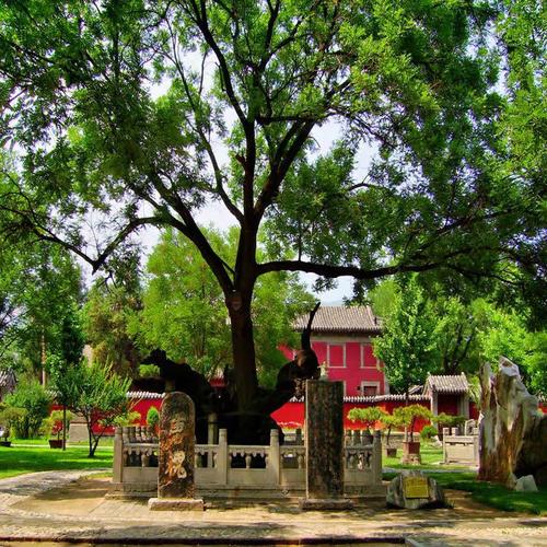 【保障】2人起订无封顶，纯粹深度讲解无任何隐形购物店，所见即所得 【人群】带娃出游，沐儒风，攀泰山；父母出游，寻儒根，登泰山，祈平安 【泰山】泰山海拔不高，怎被称为五岳独尊？历代帝王为何来泰山封禅大典