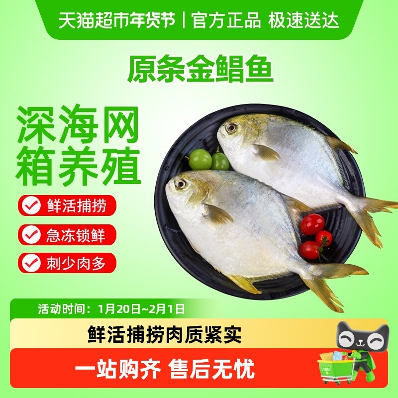 环球水产金鲳鱼  BAP认证生鲜 鱼类深海鱼 健康轻食,水产肉类/新鲜蔬果/熟食,鲳鱼,淘宝优惠券,粉丝福利购,淘宝优惠卷