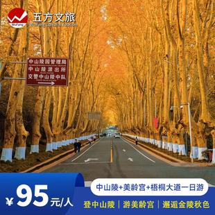 南京中山陵+美龄宫+梧桐大道半日游/含耳麦/含门票/醉美梧桐大道