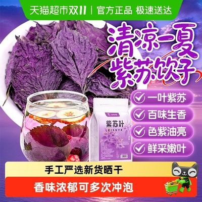 甄选紫苏叶大片新货晒干香味浓郁