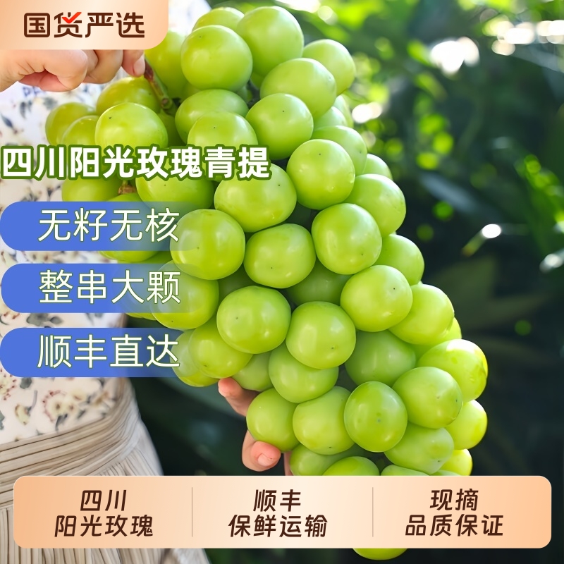 正宗四川阳光玫瑰葡萄新鲜晴王香印无籽青提子一整箱水果无核果园