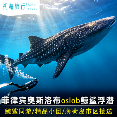菲律宾薄荷岛出发鲸鲨奥斯洛布浮潜一日游中英文导游陪同午餐可选
