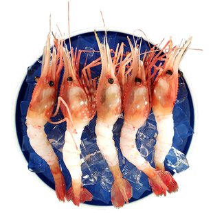 俄罗斯白牡丹虾刺身 进口日料刺身富山虾 冷冻新鲜海鲜寿司虾