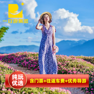 抚仙湖+禄充风景区+粉红沙滩一日游 昆明旅游 可选游船或帆船