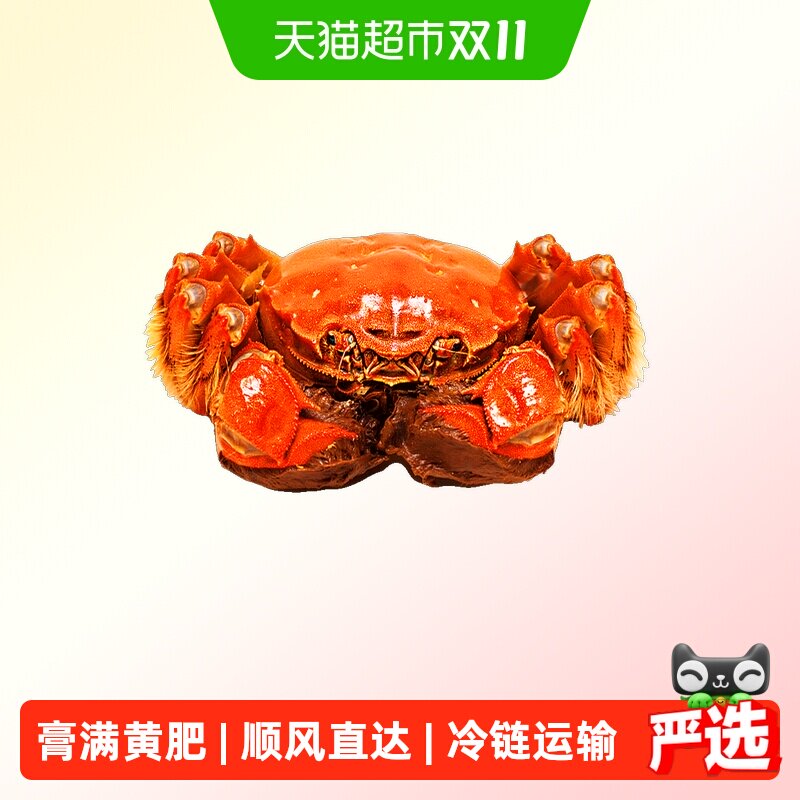 阳澄格调活蟹公母蟹鲜活大闸蟹