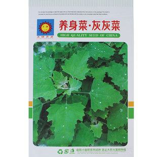 农家营养菜灰灰菜种子营养蔬菜种子野菜种子阳台庭院盆栽
