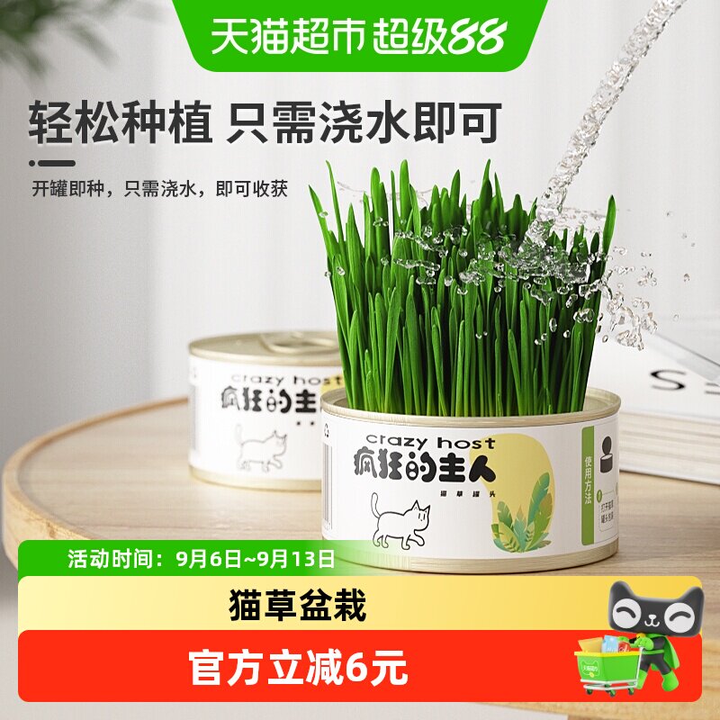 疯狂的主人猫草猫草盆栽水懒人猫图片