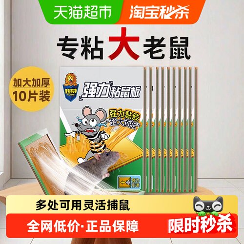 超威强力粘鼠板一触即粘10张